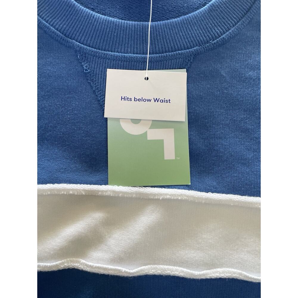 JoyLab Loose Fit Women’s Sweatshirt Sz L Boxy Oversized Relaxed Below Waist NWt - Picture 6 of 11